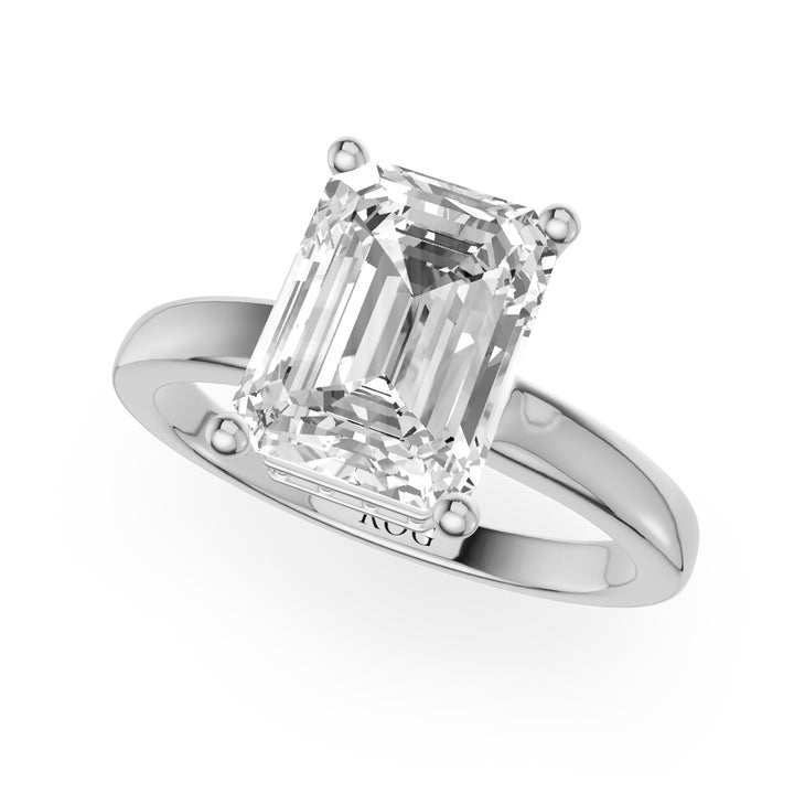 Erfurt Hidden Engagement Ring